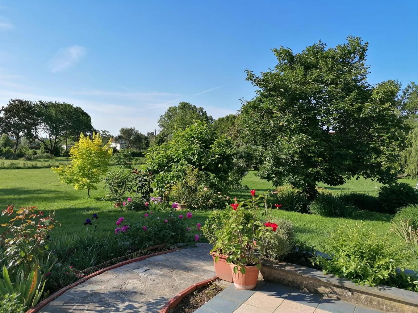 Versilia - Pietrasanta - Le Colmate Guesthouse トンファーノ エクステリア 写真