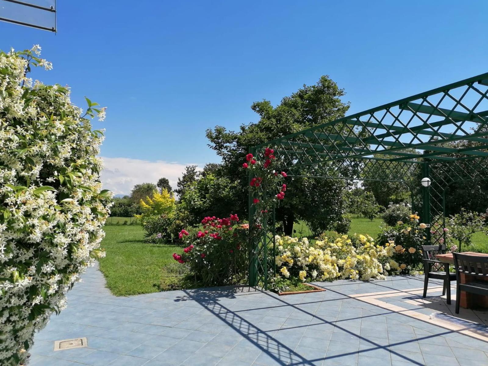 Versilia - Pietrasanta - Le Colmate Guesthouse トンファーノ エクステリア 写真