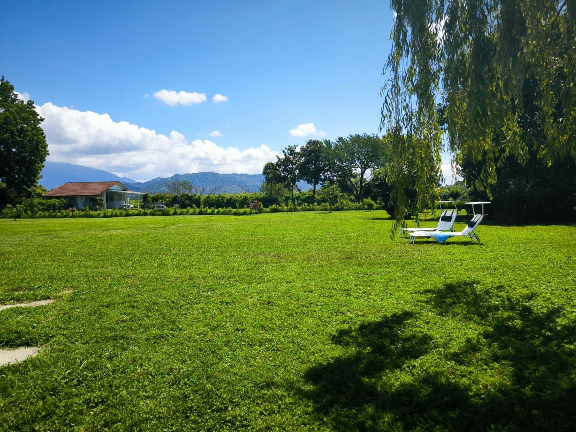 Versilia - Pietrasanta - Le Colmate Guesthouse トンファーノ エクステリア 写真