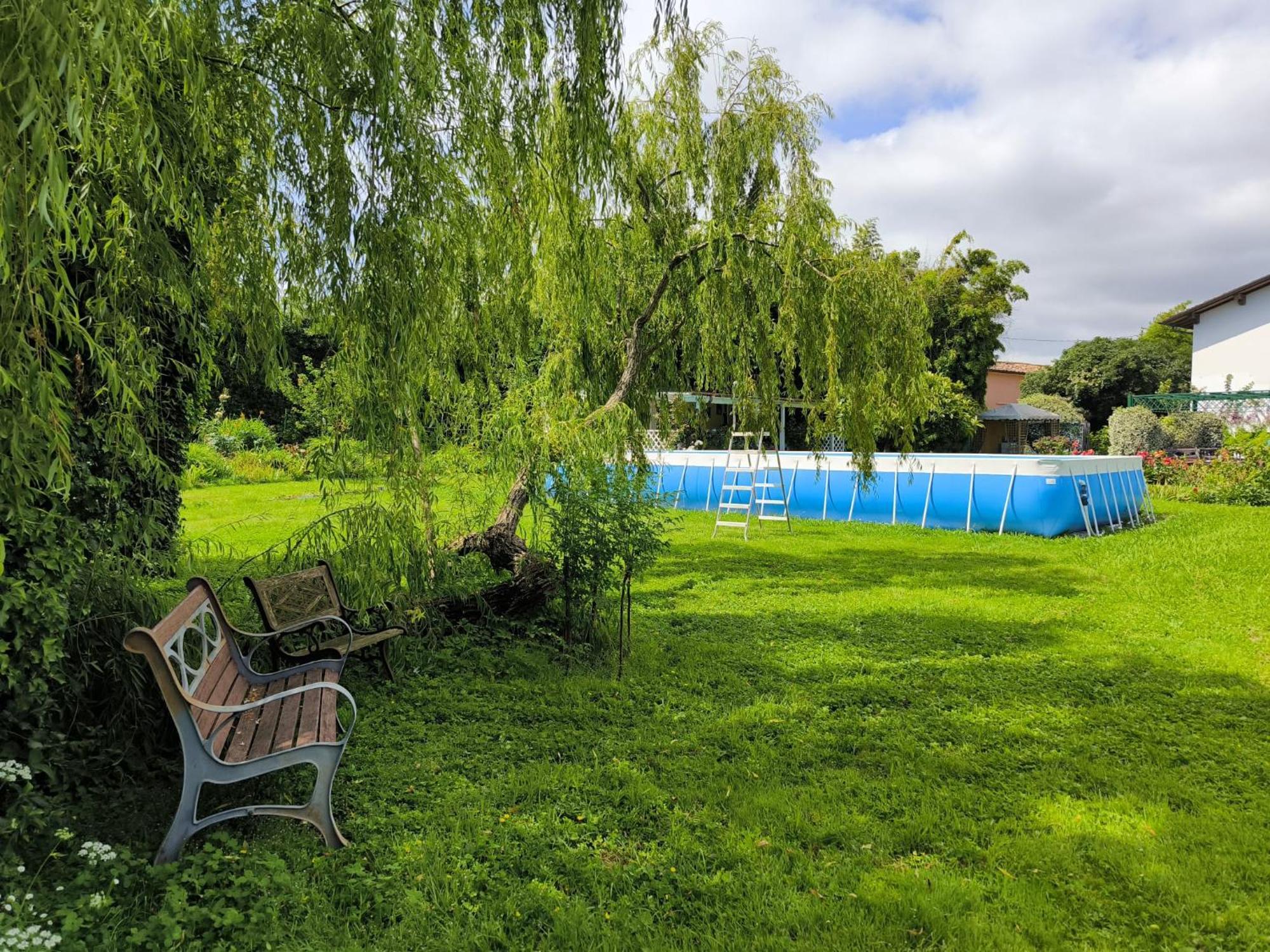 Versilia - Pietrasanta - Le Colmate Guesthouse トンファーノ エクステリア 写真