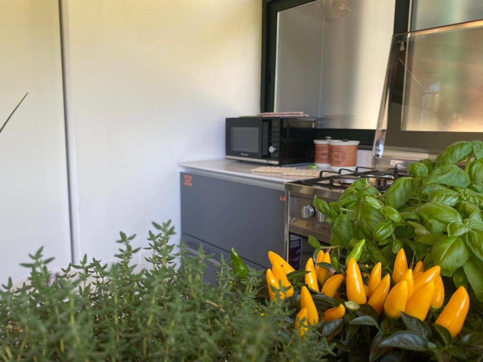 Versilia - Pietrasanta - Le Colmate Guesthouse トンファーノ エクステリア 写真